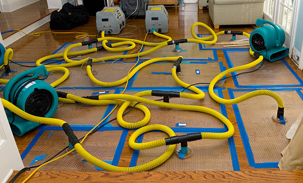 Professional Basement Flood Cleanup technician working in Lancaster, TN